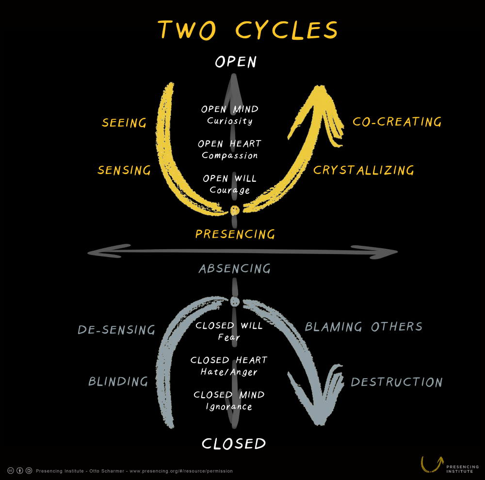 Figure 2: Two Social Fields: The cycle of co-creation (presencing) and the cycle of destruction (absencing)